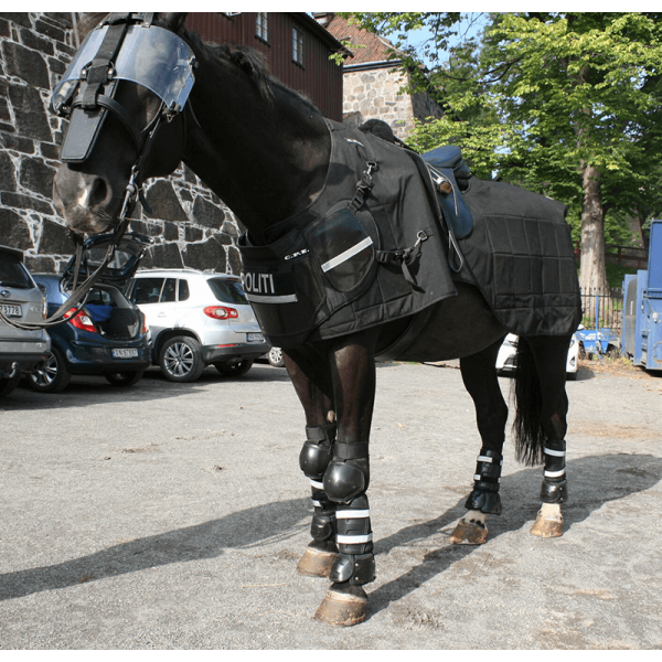 Tactical Police Horse