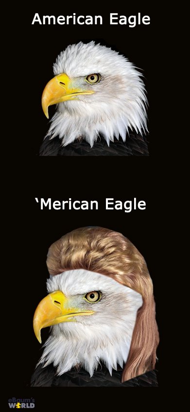American Eagle vs. 'Merican Eagle.