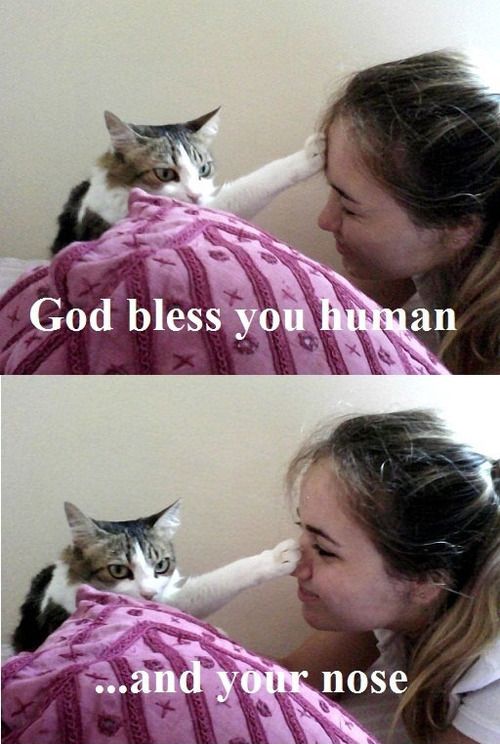 God bless you human.