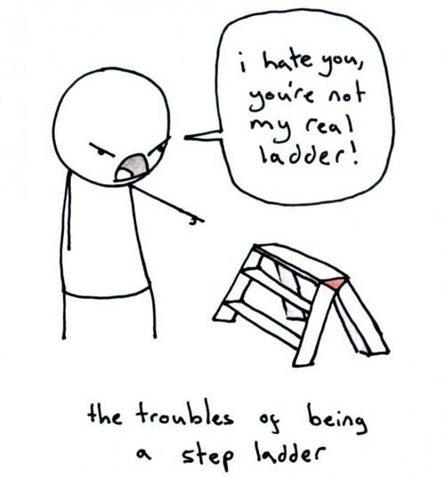 I hate you, you're not my real ladder!