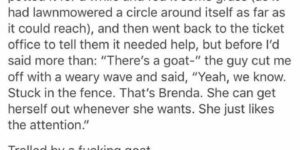 Goddammit Brenda.