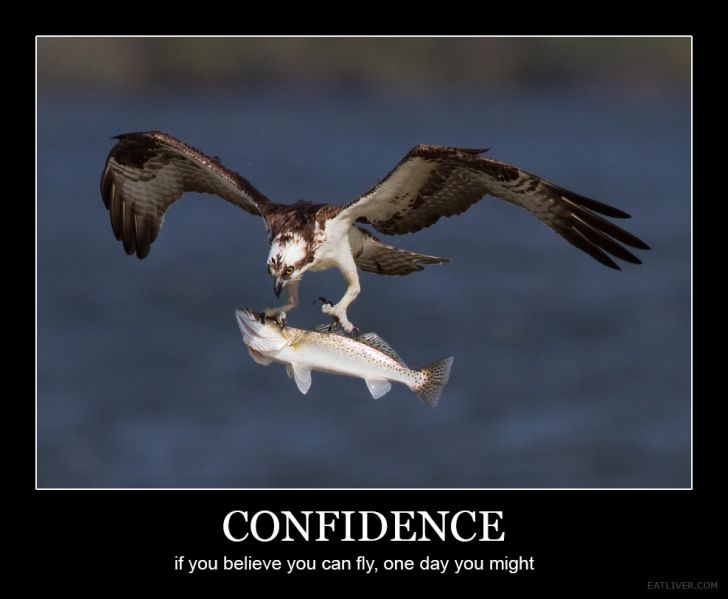 Confidence.