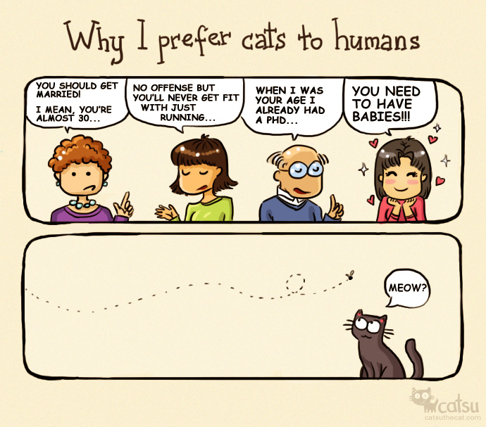 Why I prefer cats to humans.