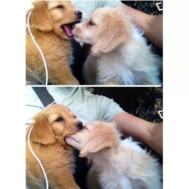 It started out as a kiss, how did it end up like this ...