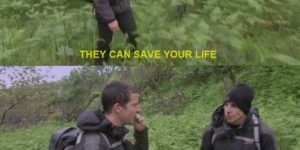 Bear Grylls on ferns.