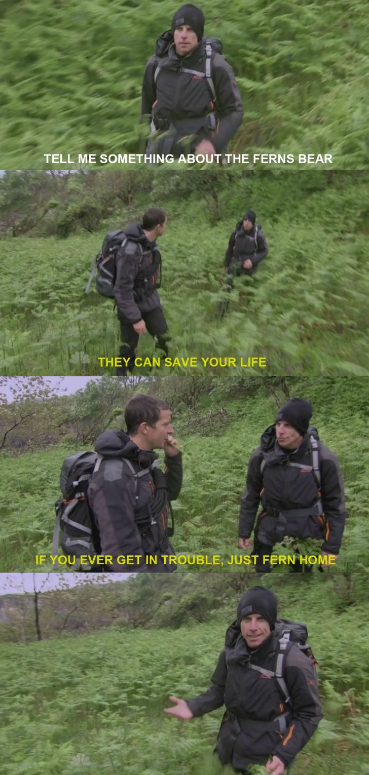 Bear Grylls on ferns.