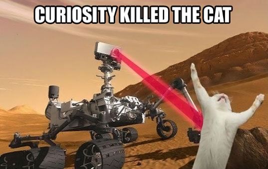 Curiosity killed the cat.