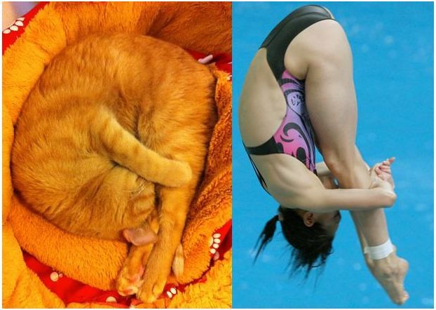 My cat dreams of the Olympics.