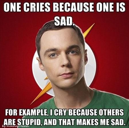 One cries because one is sad.
