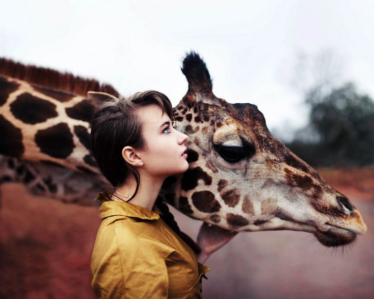 A girl and a giraffe.