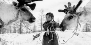 Nomad girl in Mongolia with her reindeers