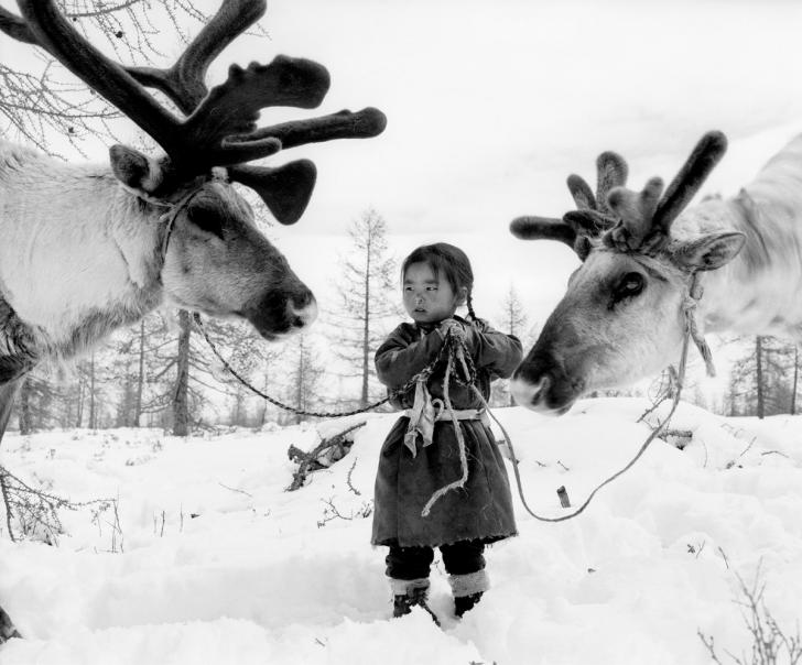 Nomad girl in Mongolia with her reindeers
