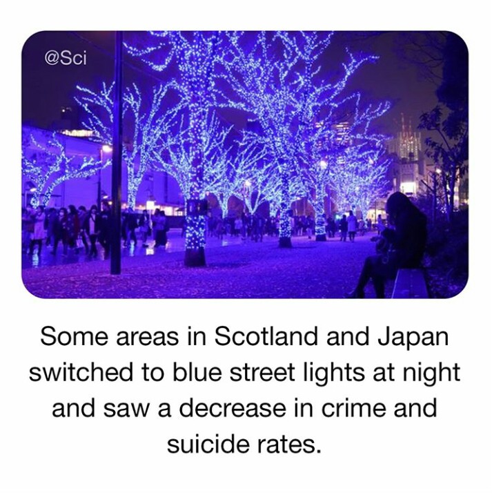 Effect of blue light decreases crime rates