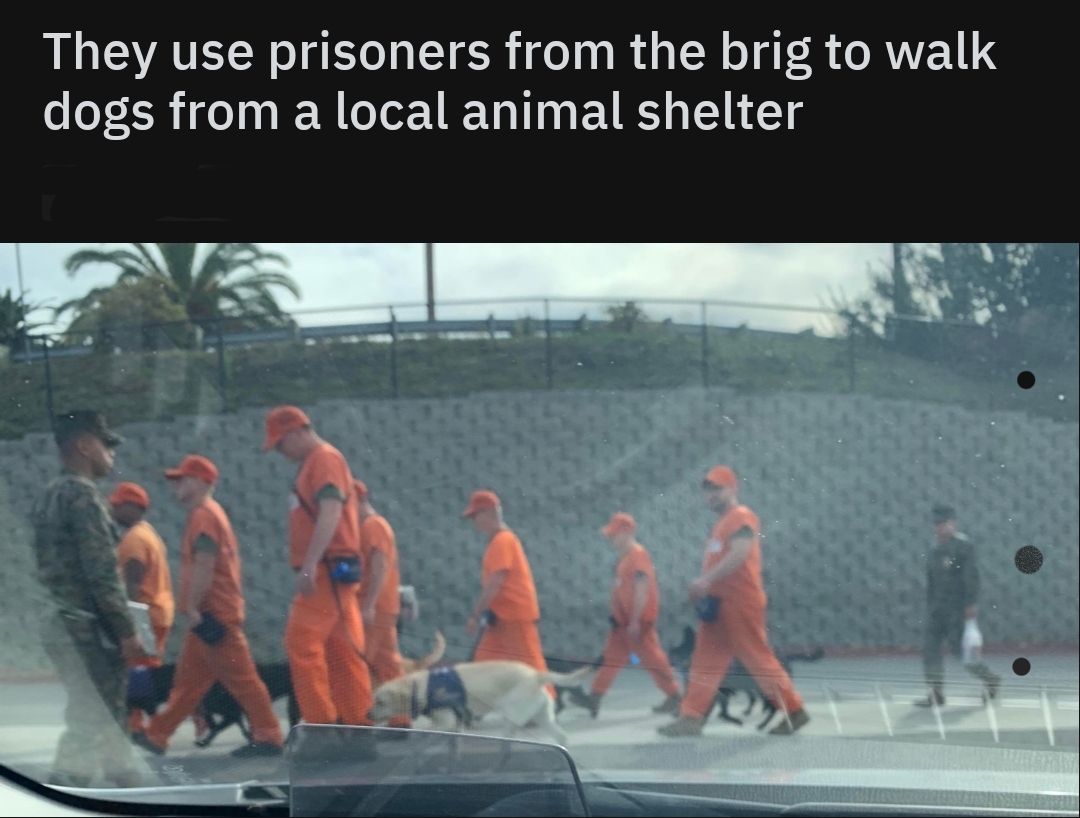 Good for the prisoners and the dogs, probably. 