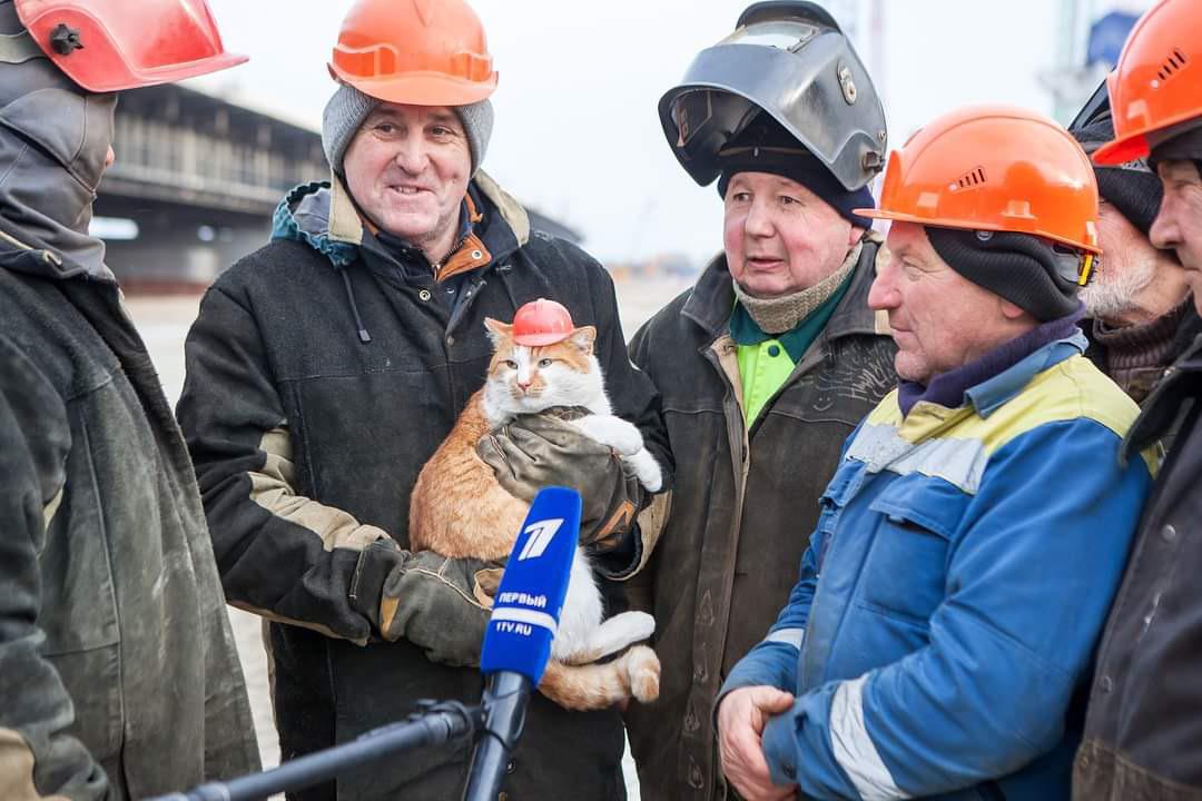 The safety officer can be bribed with high quality chicken of the sea.