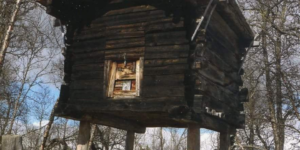 Built in the 18th century, one of the oldest buildings in hattfjeldal municipality in Norland, Norway.