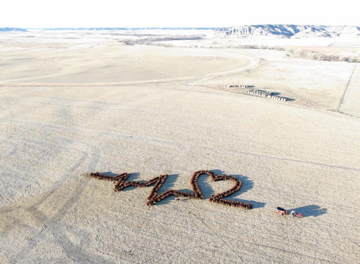 A farmer in Nebraska organized circa 600 head of cattle to say thank ya to the healthcare industry.