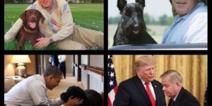 Presidents and their dogs*.