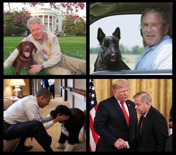 Presidents and their dogs*.
