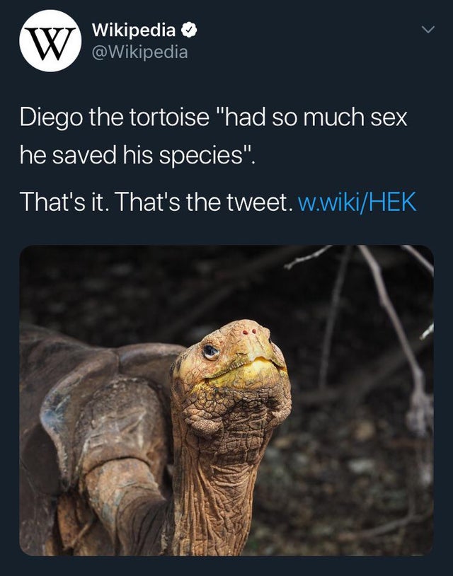 Diego can get it. 