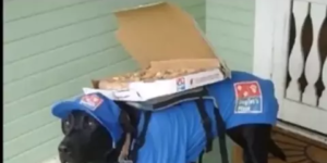 Domino’s delivered.