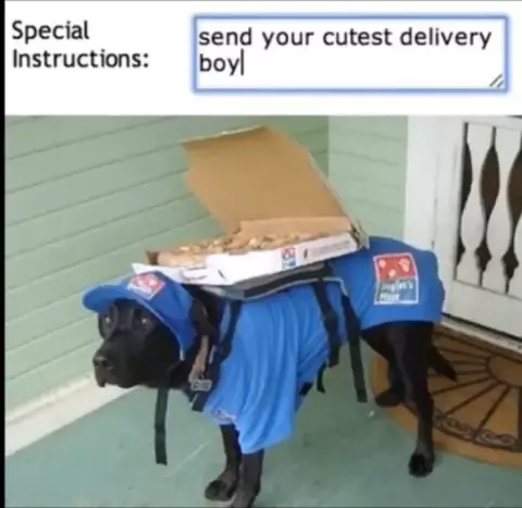 Domino's delivered.