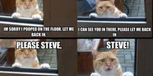 Steve… please Steve.