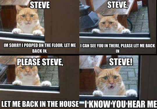 Steve... please Steve.