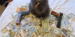 Al Catpone