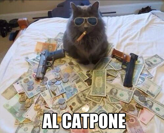 Al Catpone