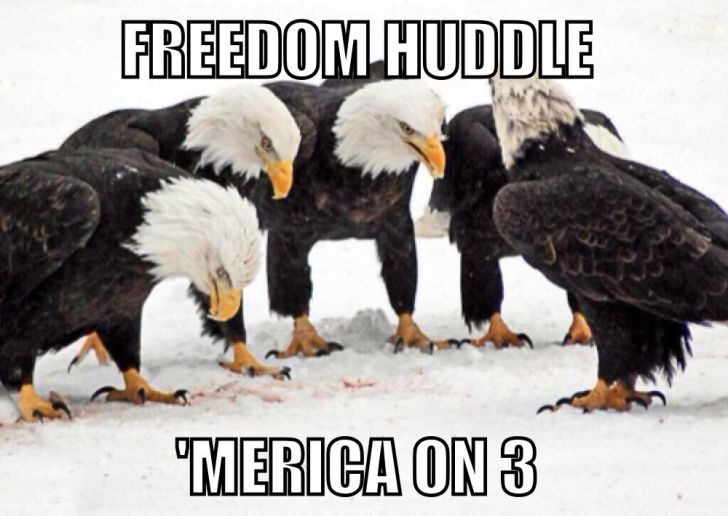 Freedom huddle.