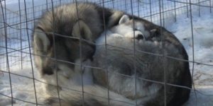 Mom and baby during winter.