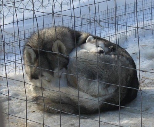 Mom and baby during winter.