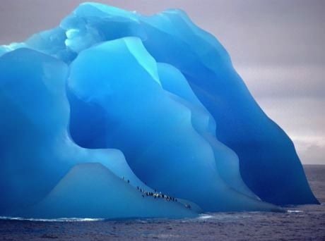 Penguins on ice.