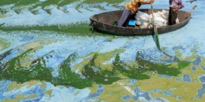 Chaohu Lake in China is considered one of china’s most polluted lakes but looks surreal