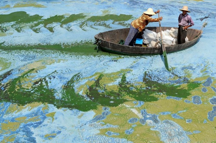 Chaohu Lake in China is considered one of china's most polluted lakes but looks surreal