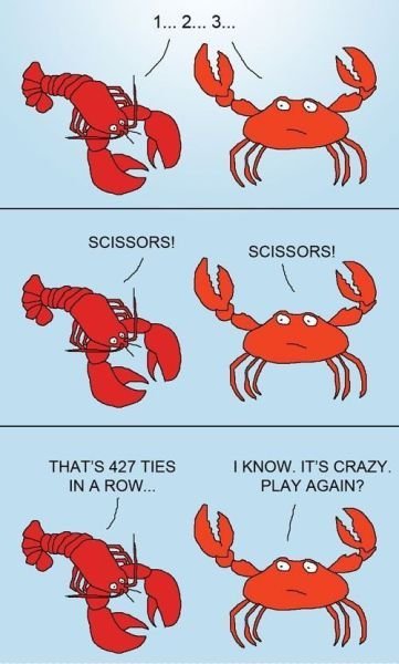 Crustaceans are not very smart...