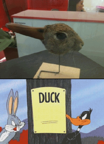 Duck. Rabbit.