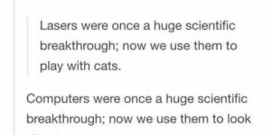 We did it all for the felines.