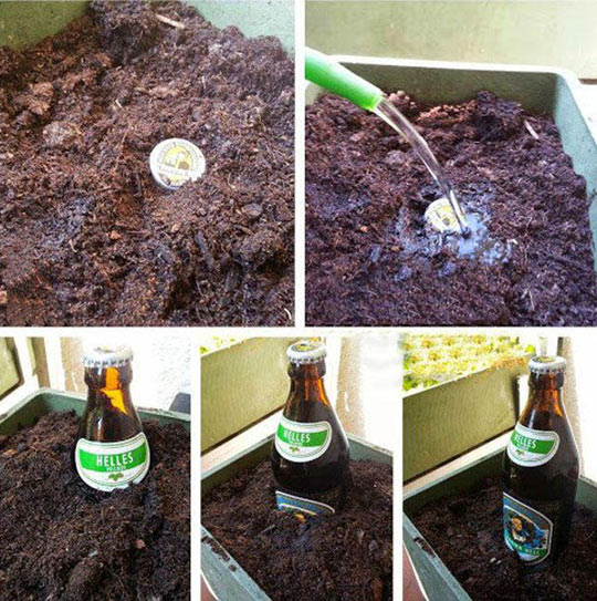 DIY beer garden.