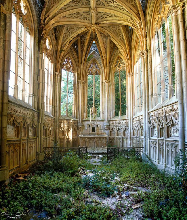 Nature taking back a church.