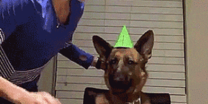 GSD gets a surprise birthday celebration