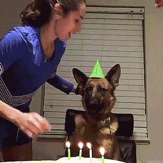 GSD gets a surprise birthday celebration
