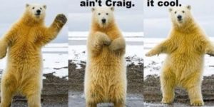 Hey Craig!