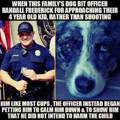 Good guy cop
