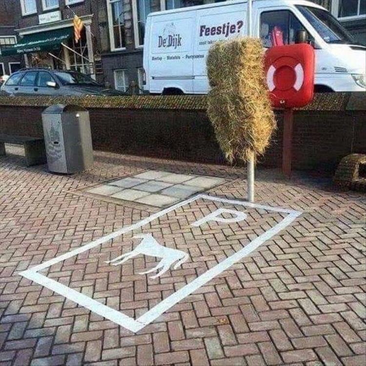 Parking for the horses.