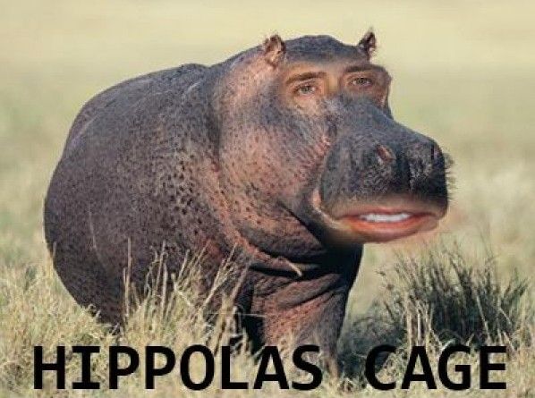 Hippolas Cage.