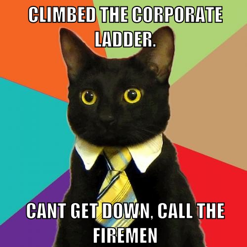 I climbed the corporate ladder...