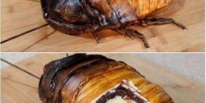 This bug cake is unnerving and probably delicious.