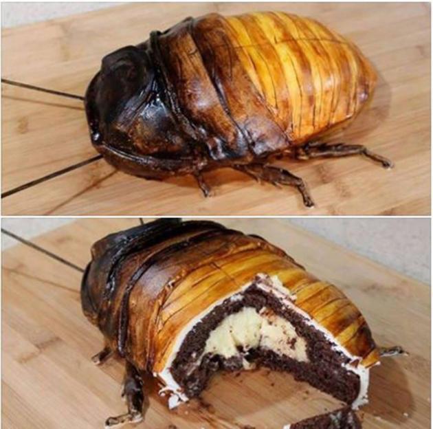 This bug cake is unnerving and probably delicious.